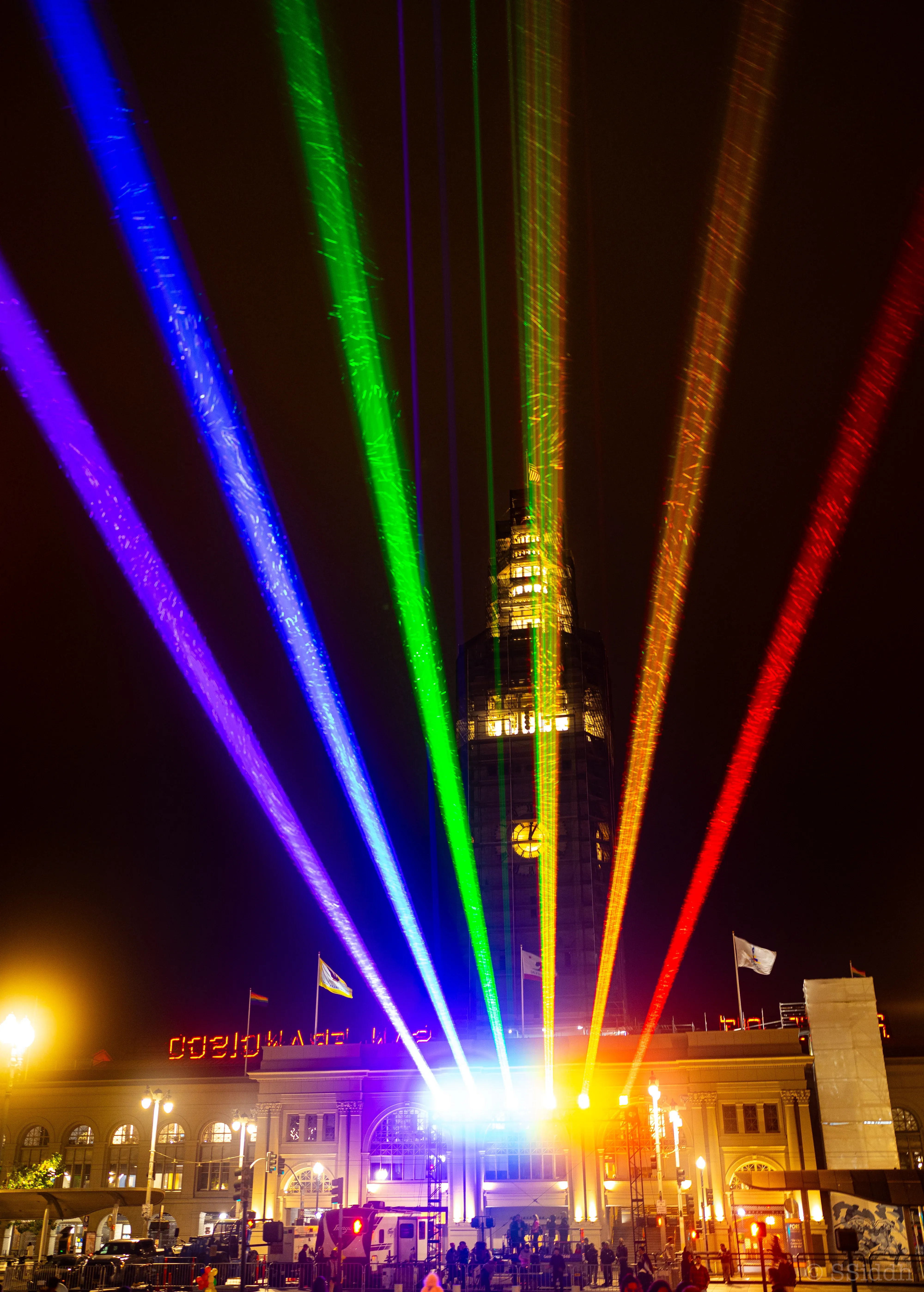 Wildlife and landscape photograph