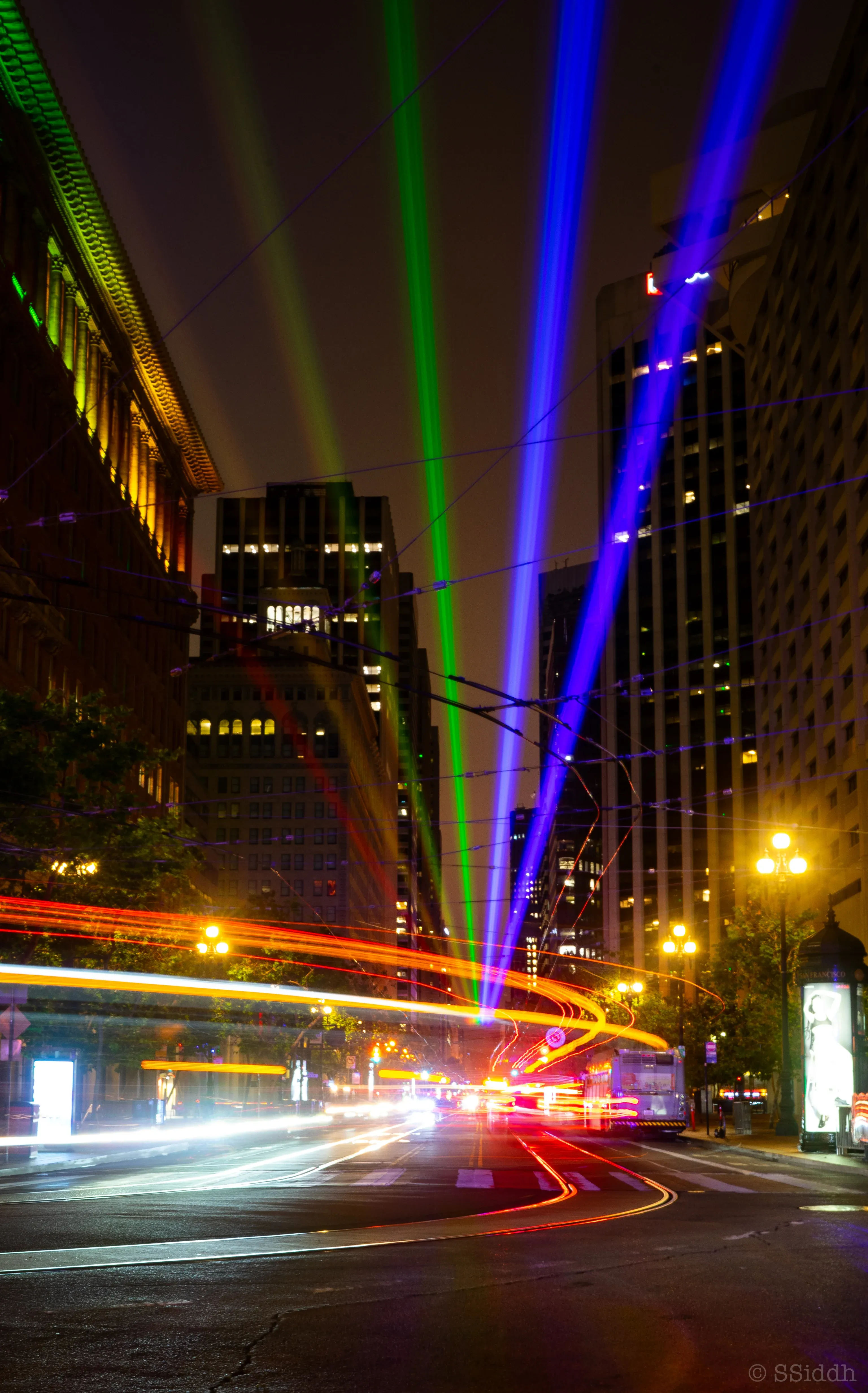 Wildlife and landscape photograph