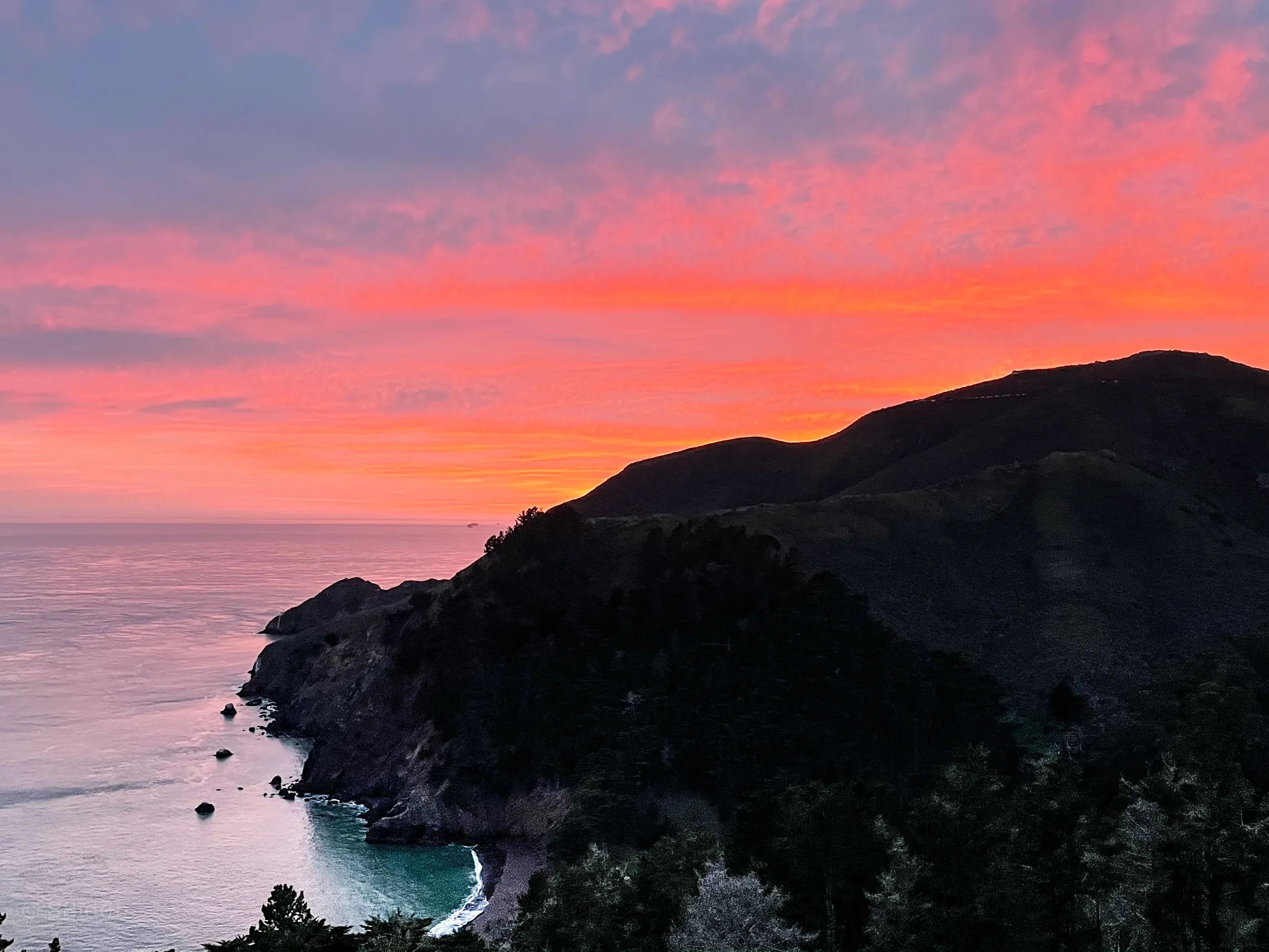 Wildlife and landscape photograph