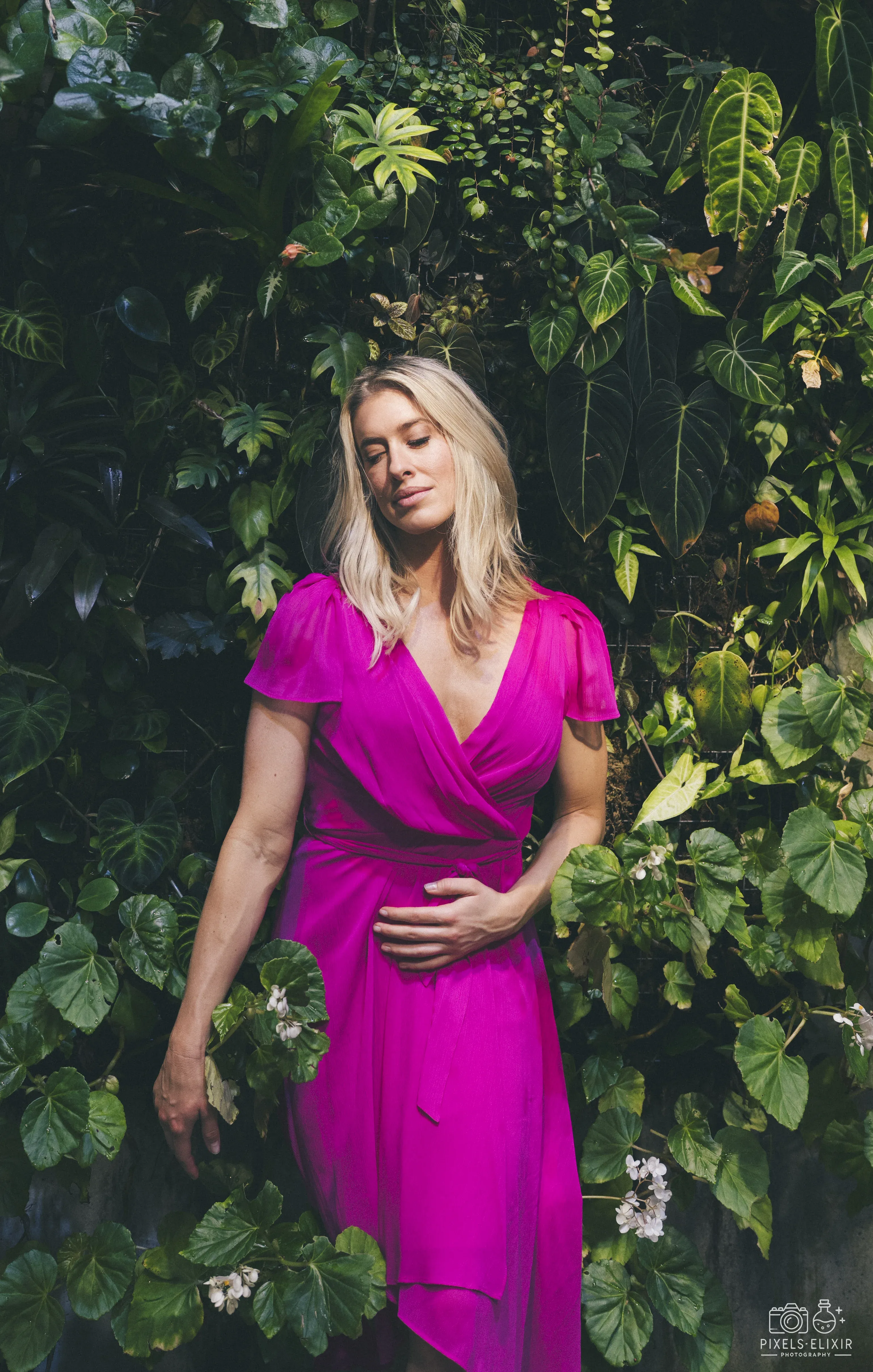 Wildlife and landscape photograph