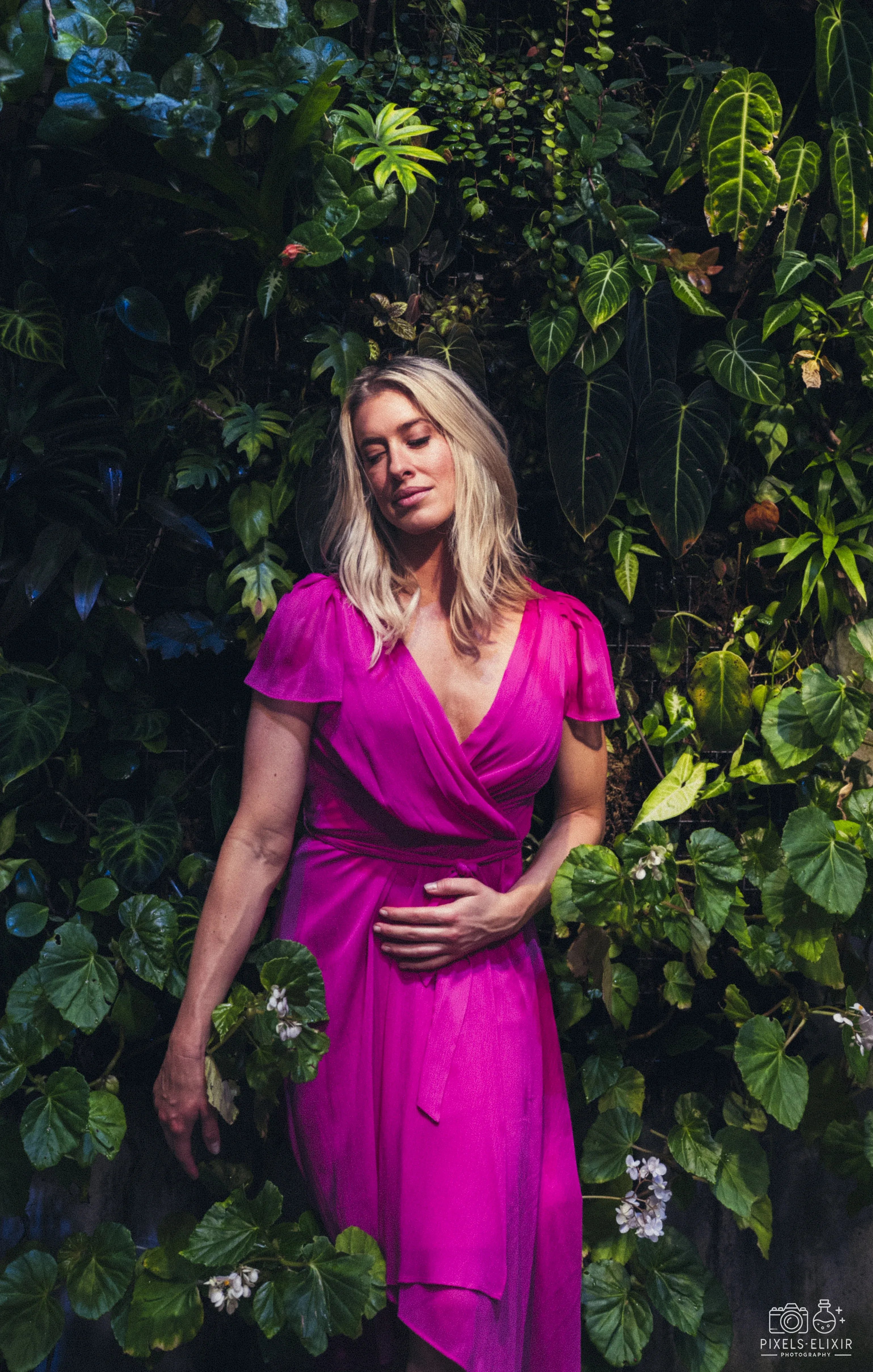 Wildlife and landscape photograph