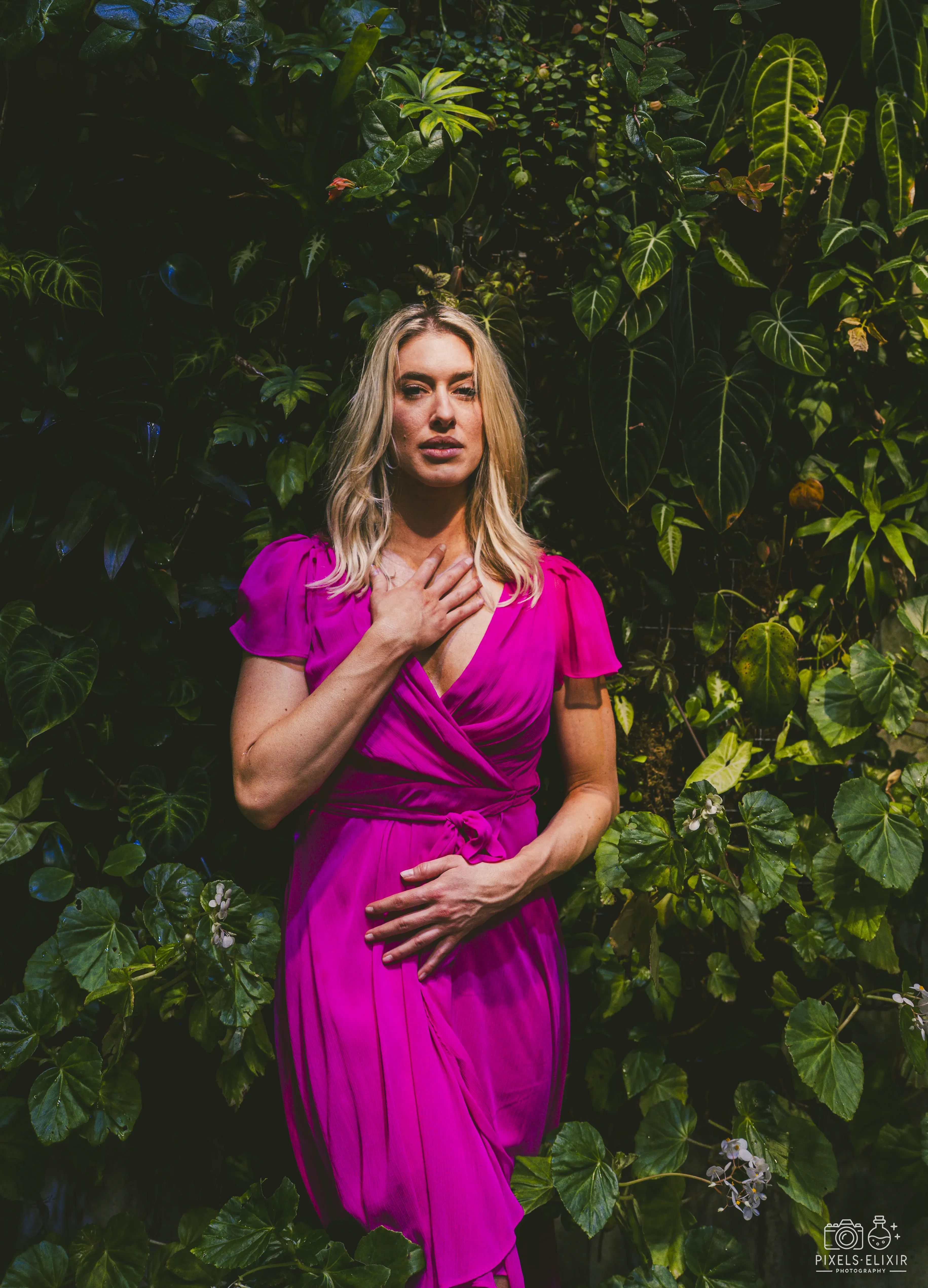 Wildlife and landscape photograph