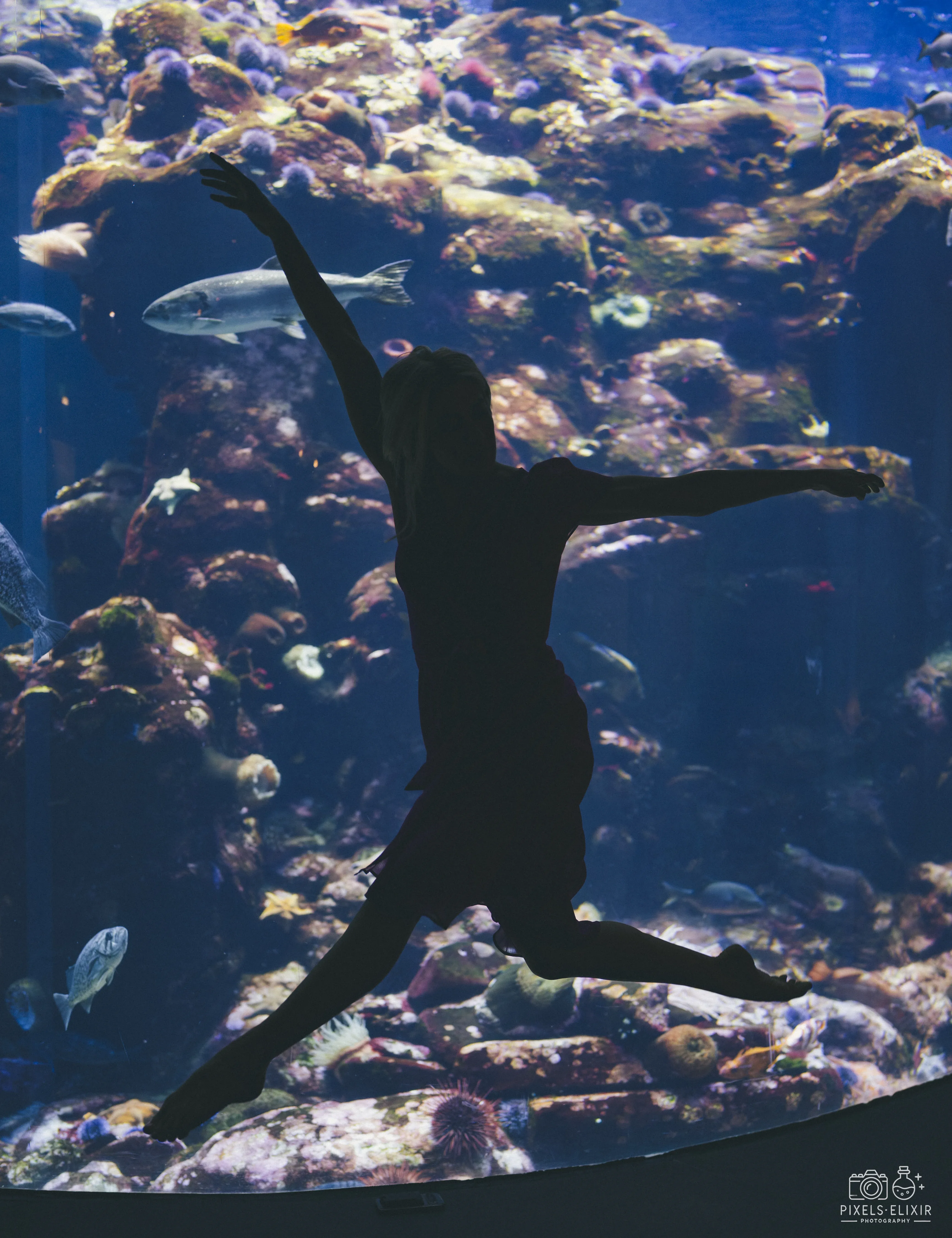 Wildlife and landscape photograph