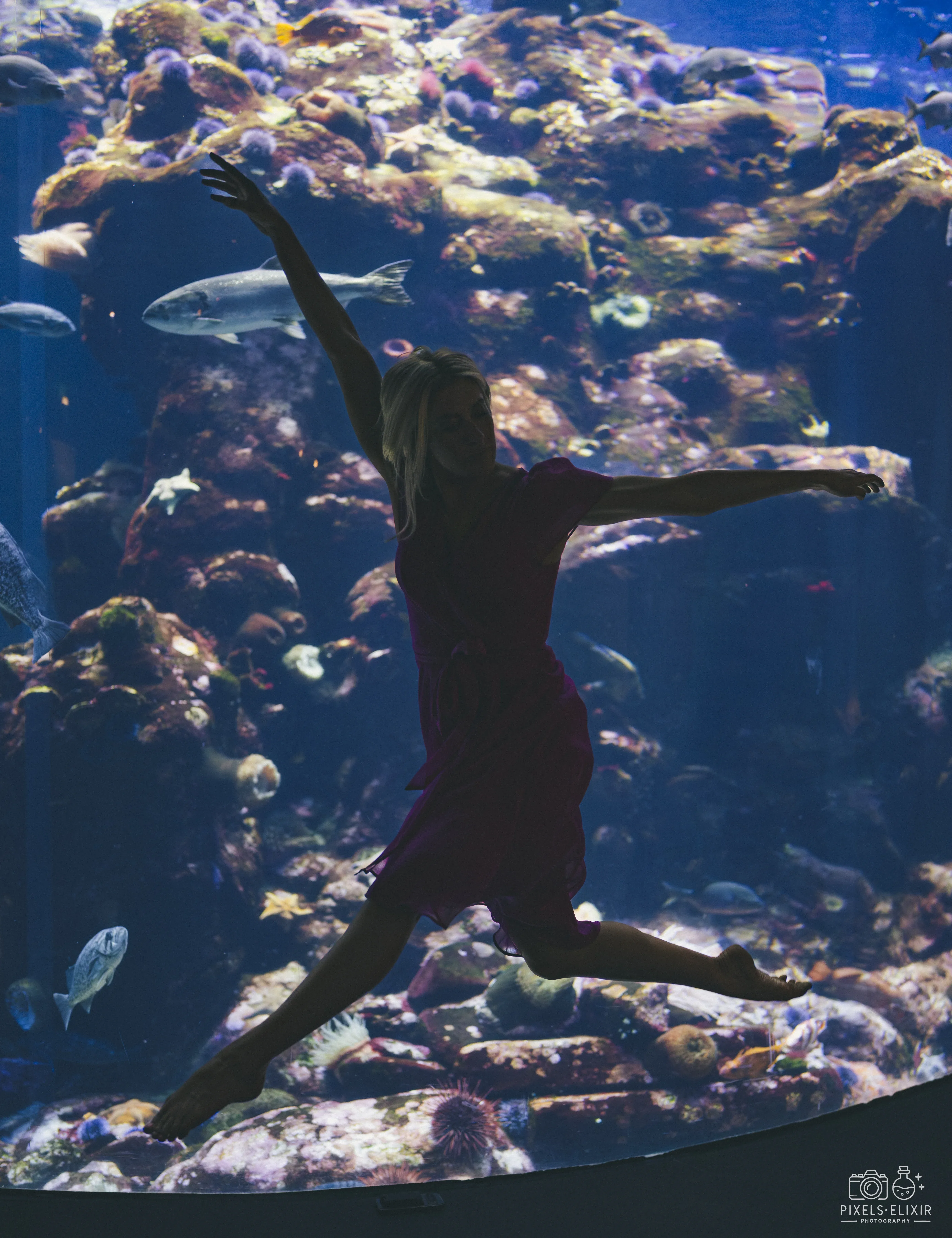 Wildlife and landscape photograph