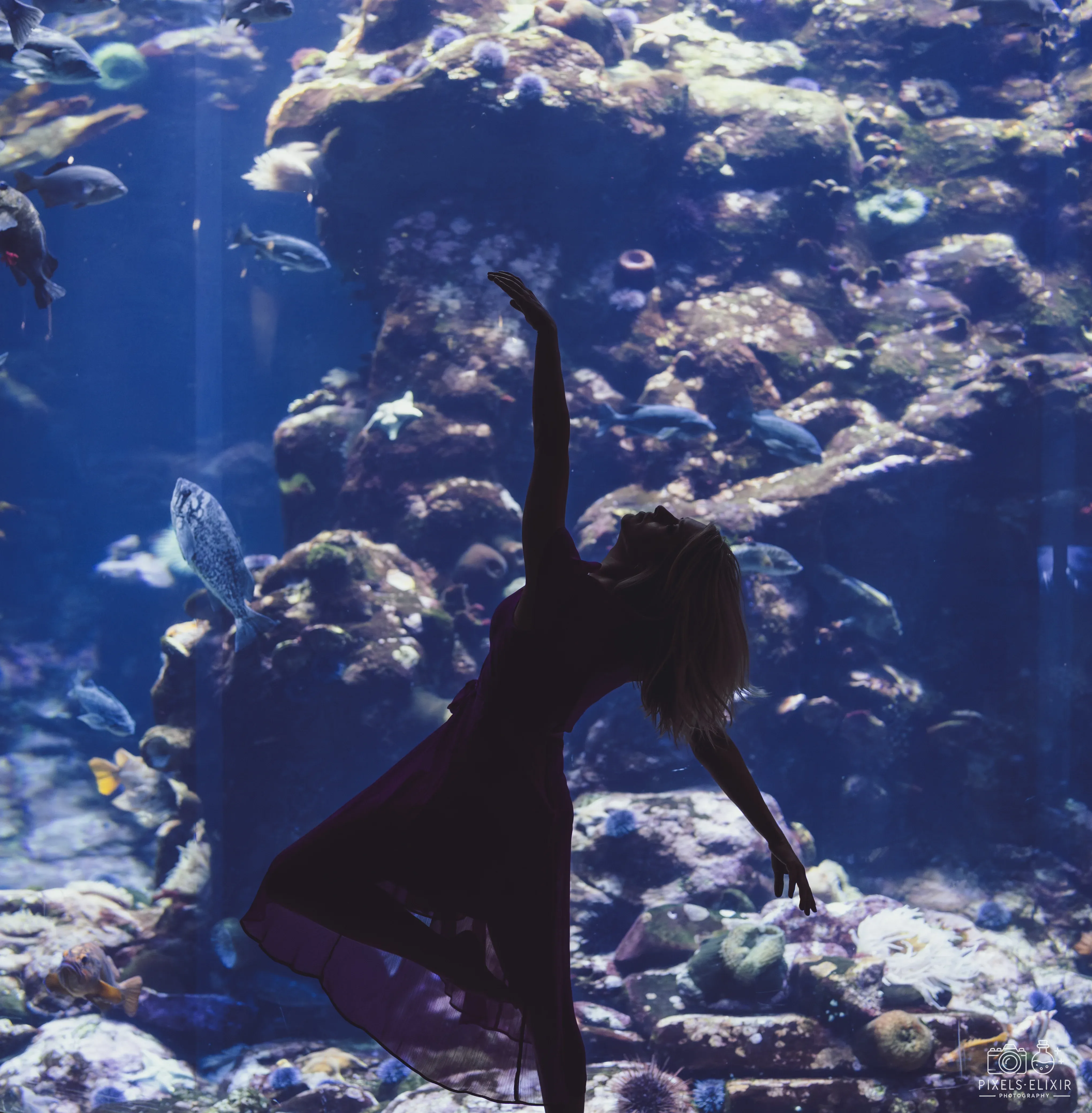 Wildlife and landscape photograph