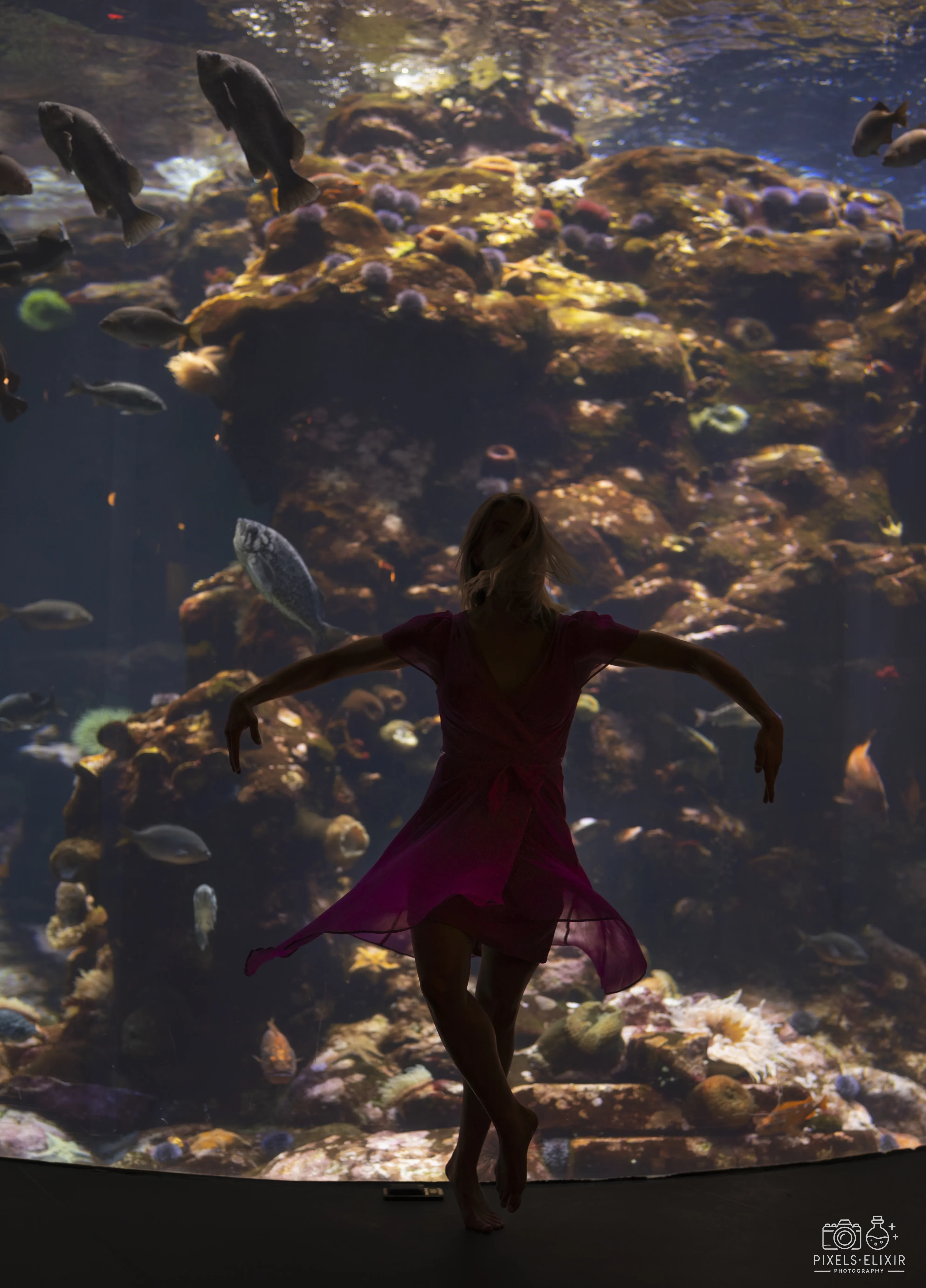 Wildlife and landscape photograph