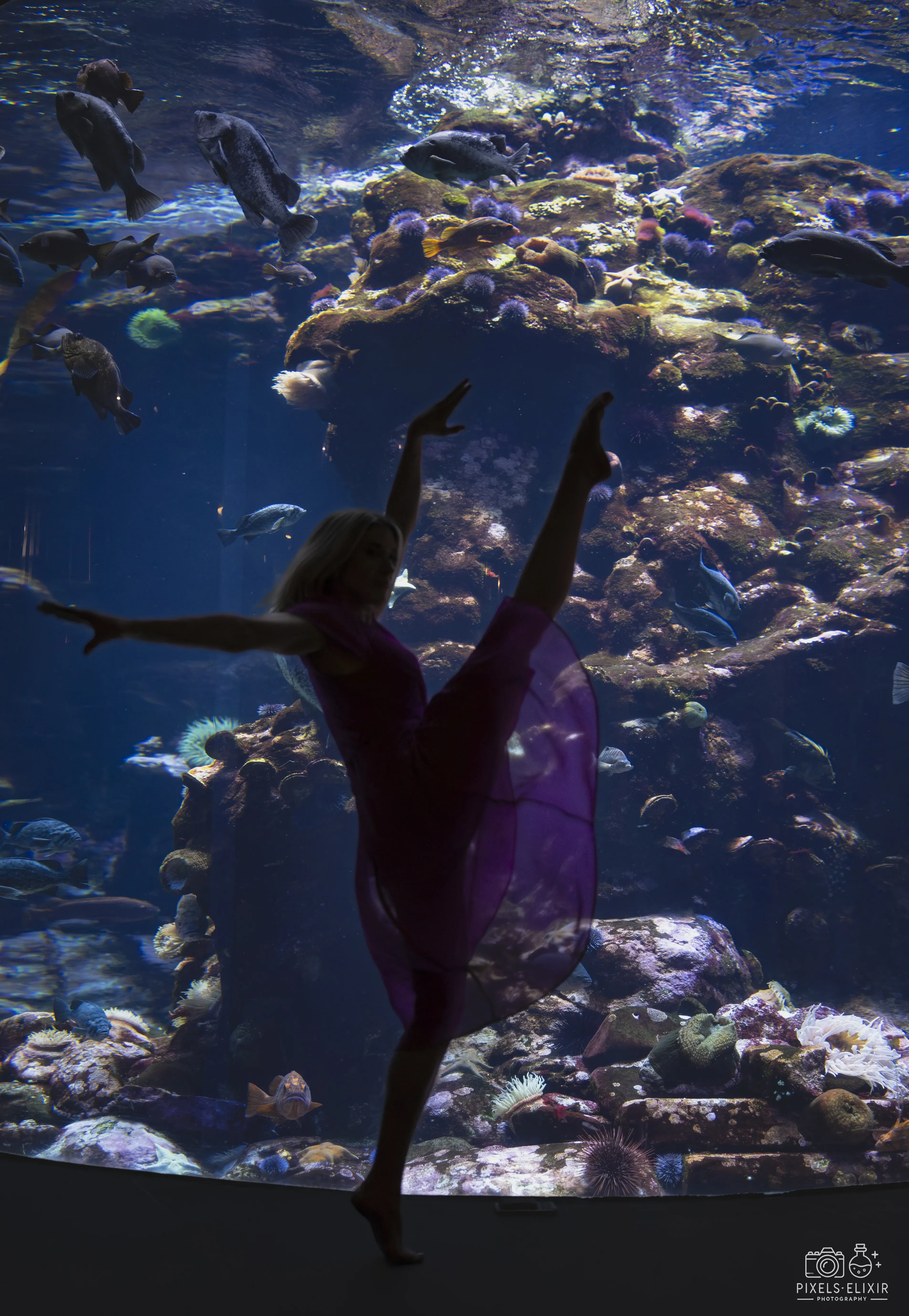 Wildlife and landscape photograph