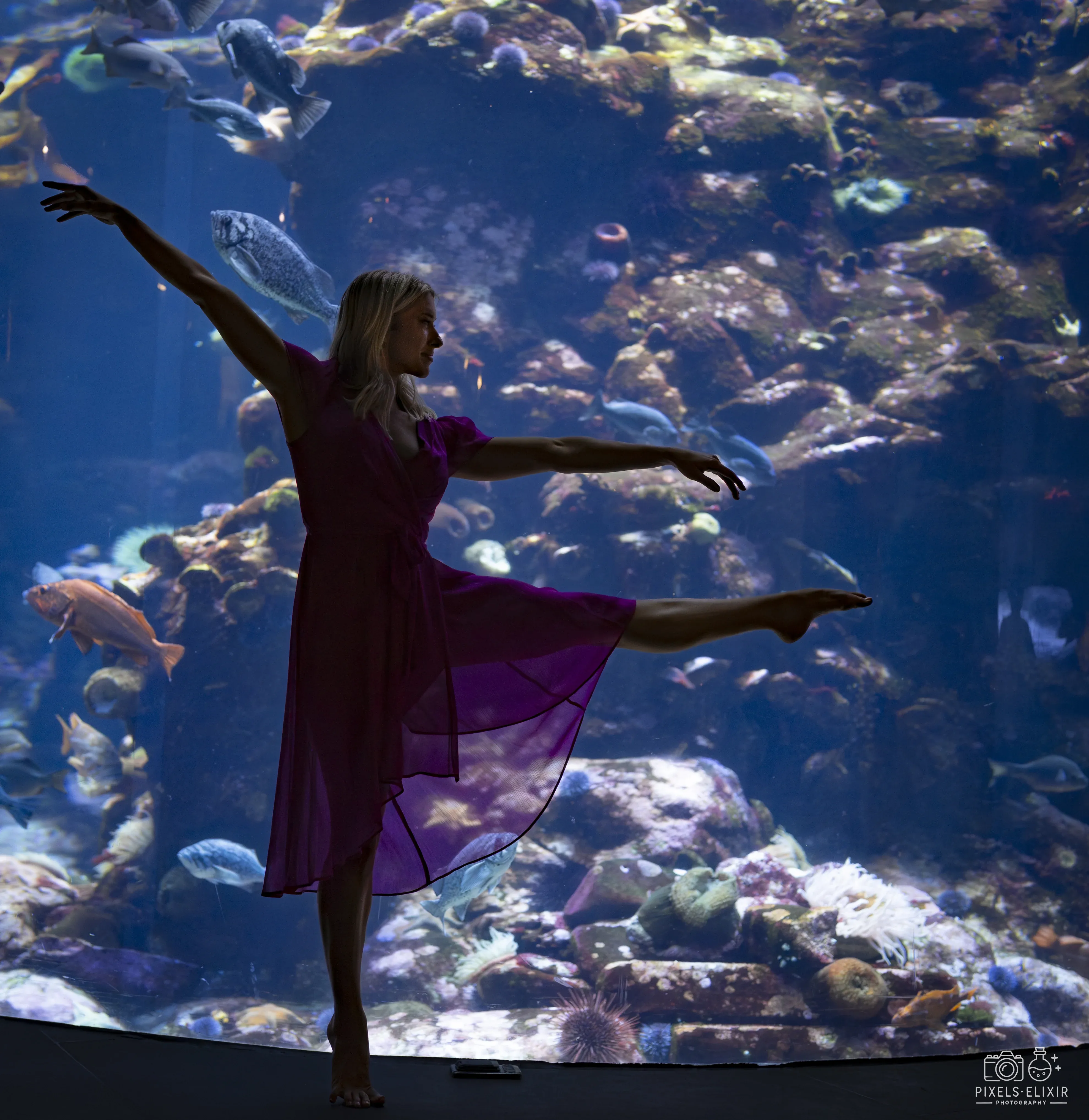 Wildlife and landscape photograph