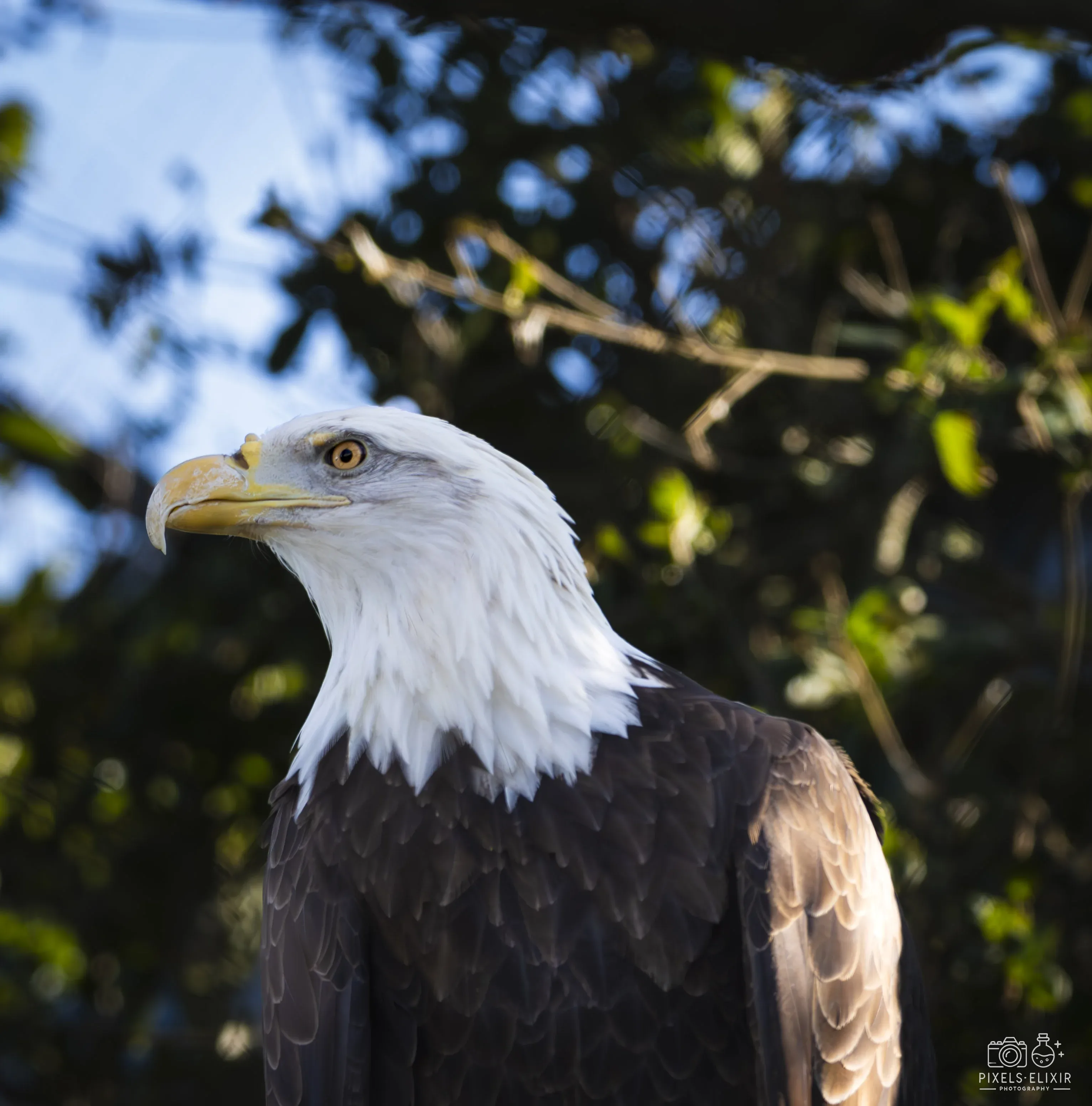 Wildlife and landscape photograph