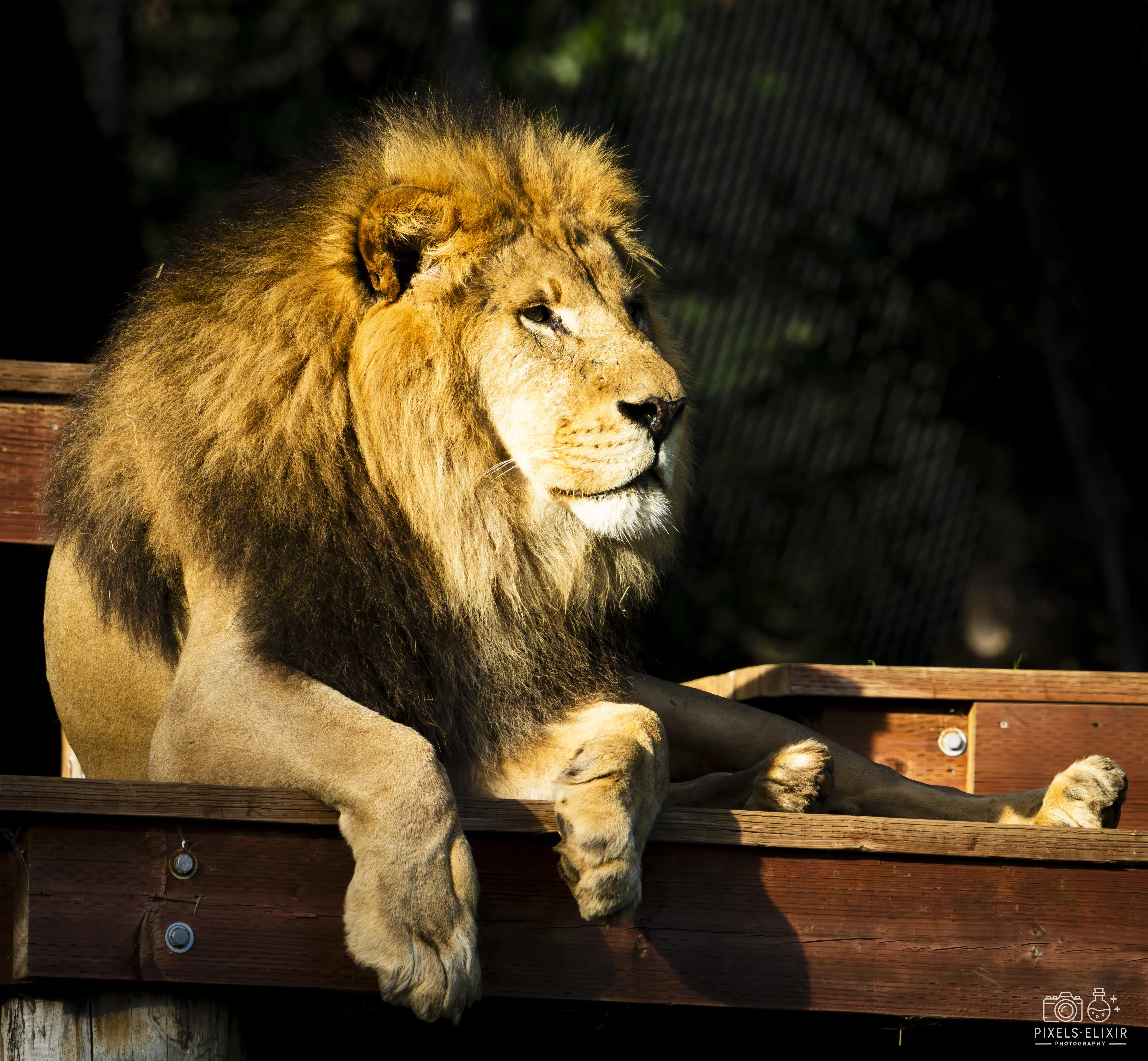 Wildlife and landscape photograph