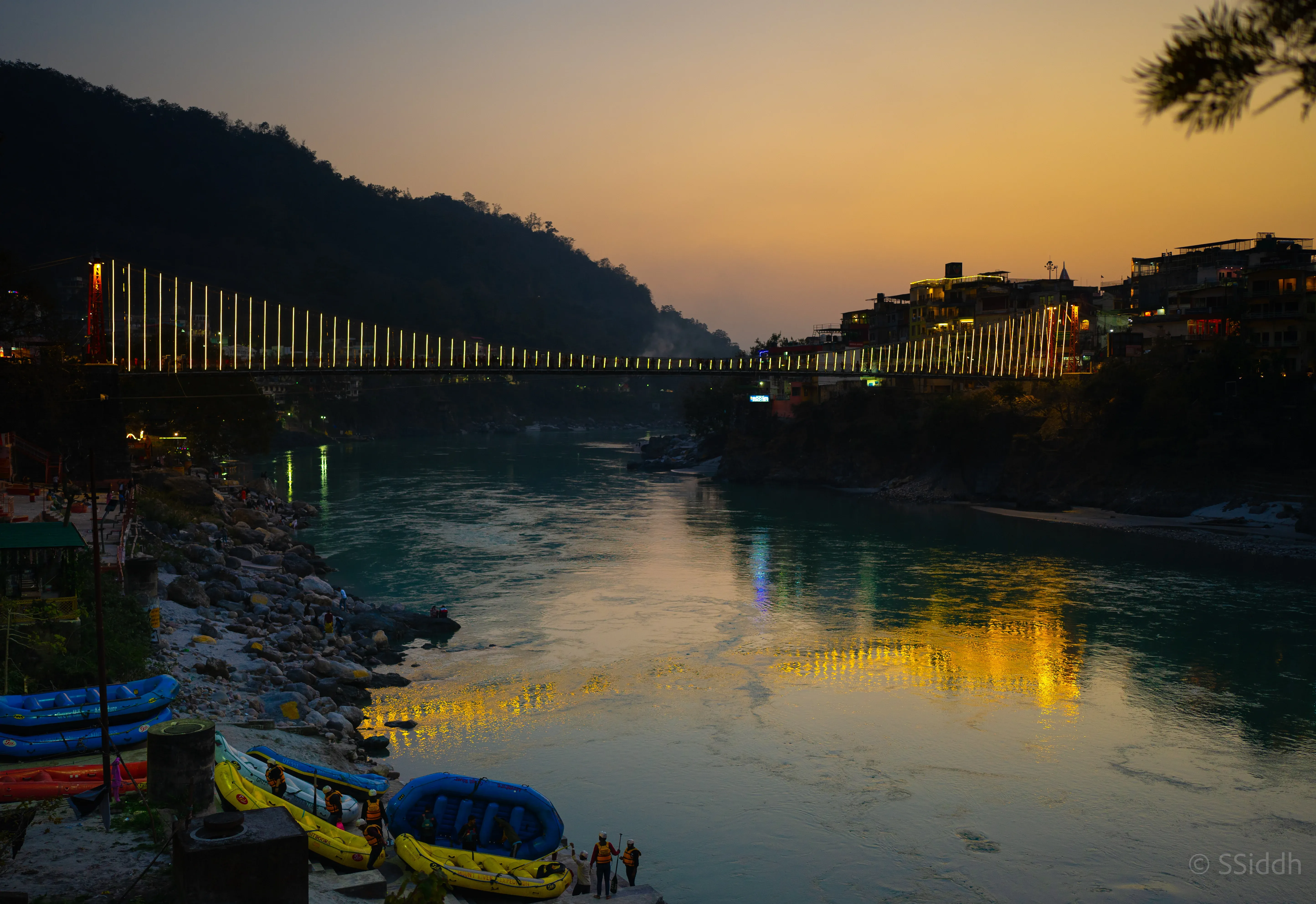 Wildlife and landscape photograph