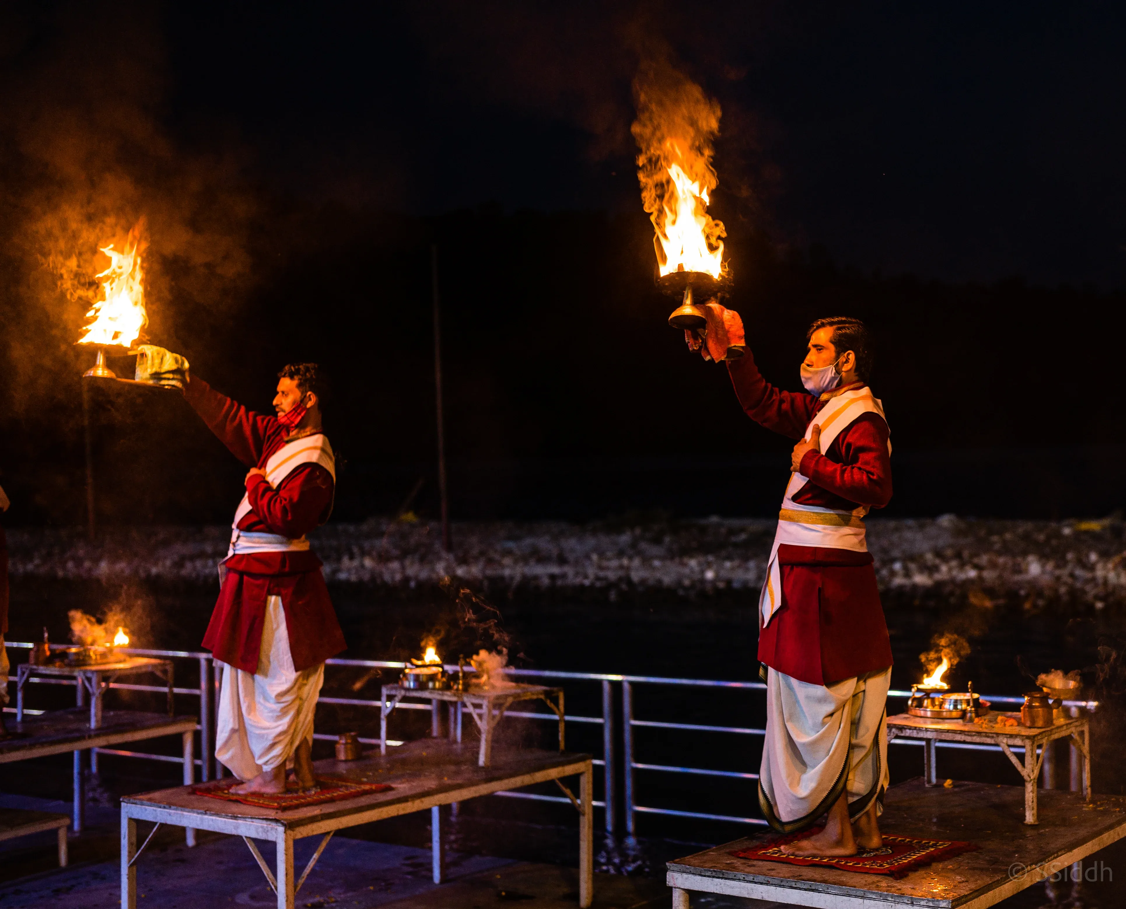 Wildlife and landscape photograph