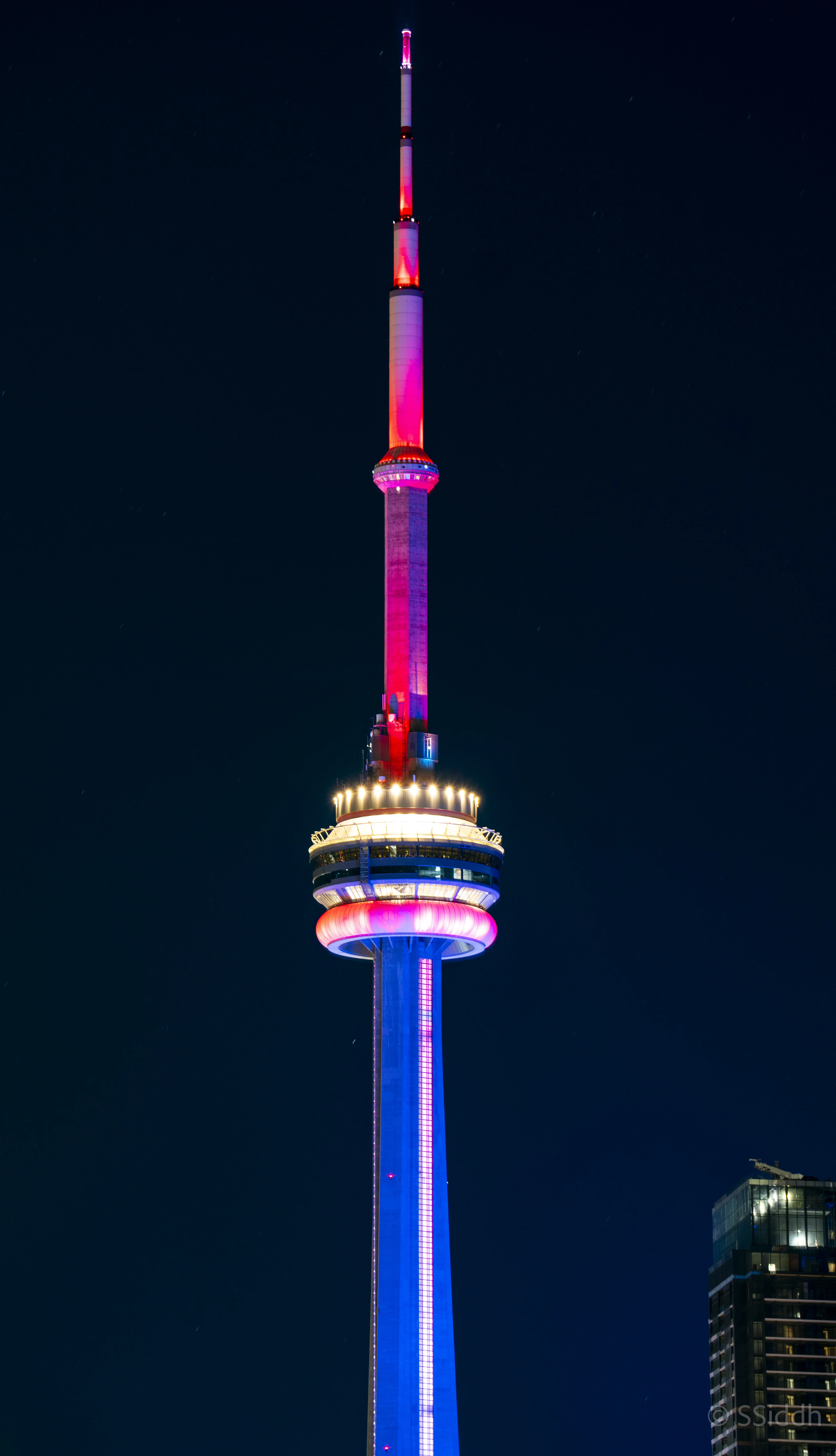 Wildlife and landscape photograph