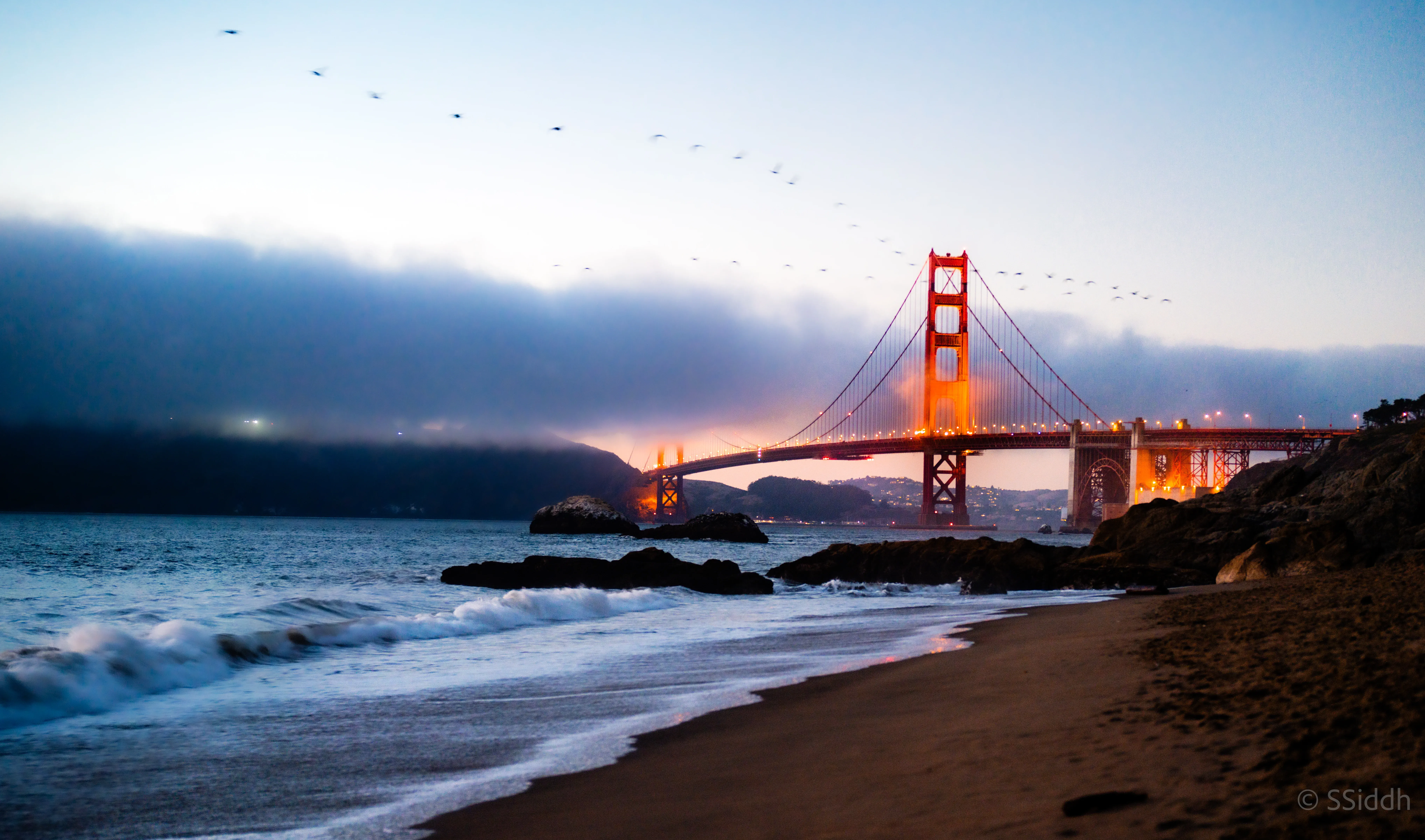 Wildlife and landscape photograph