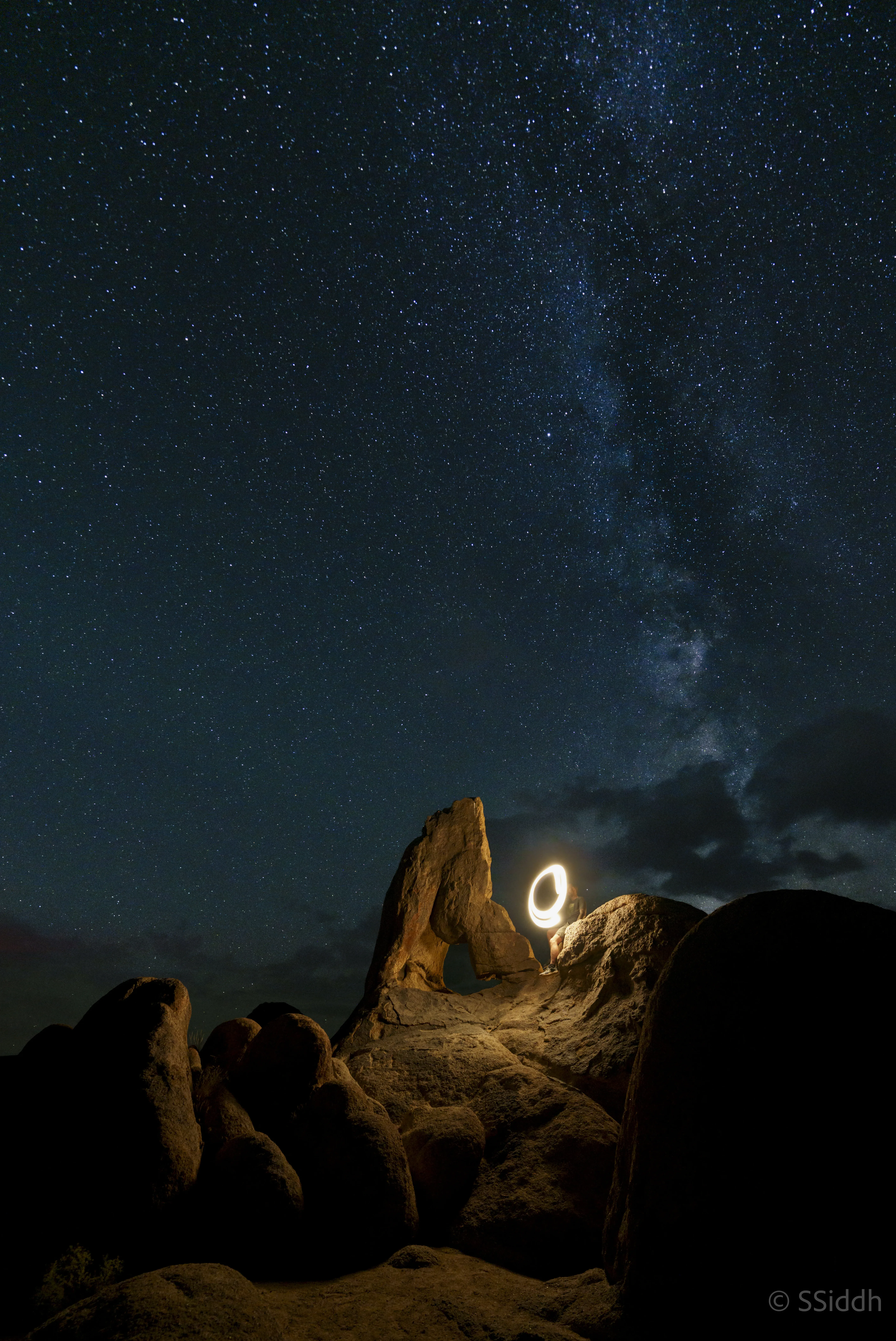 Wildlife and landscape photograph