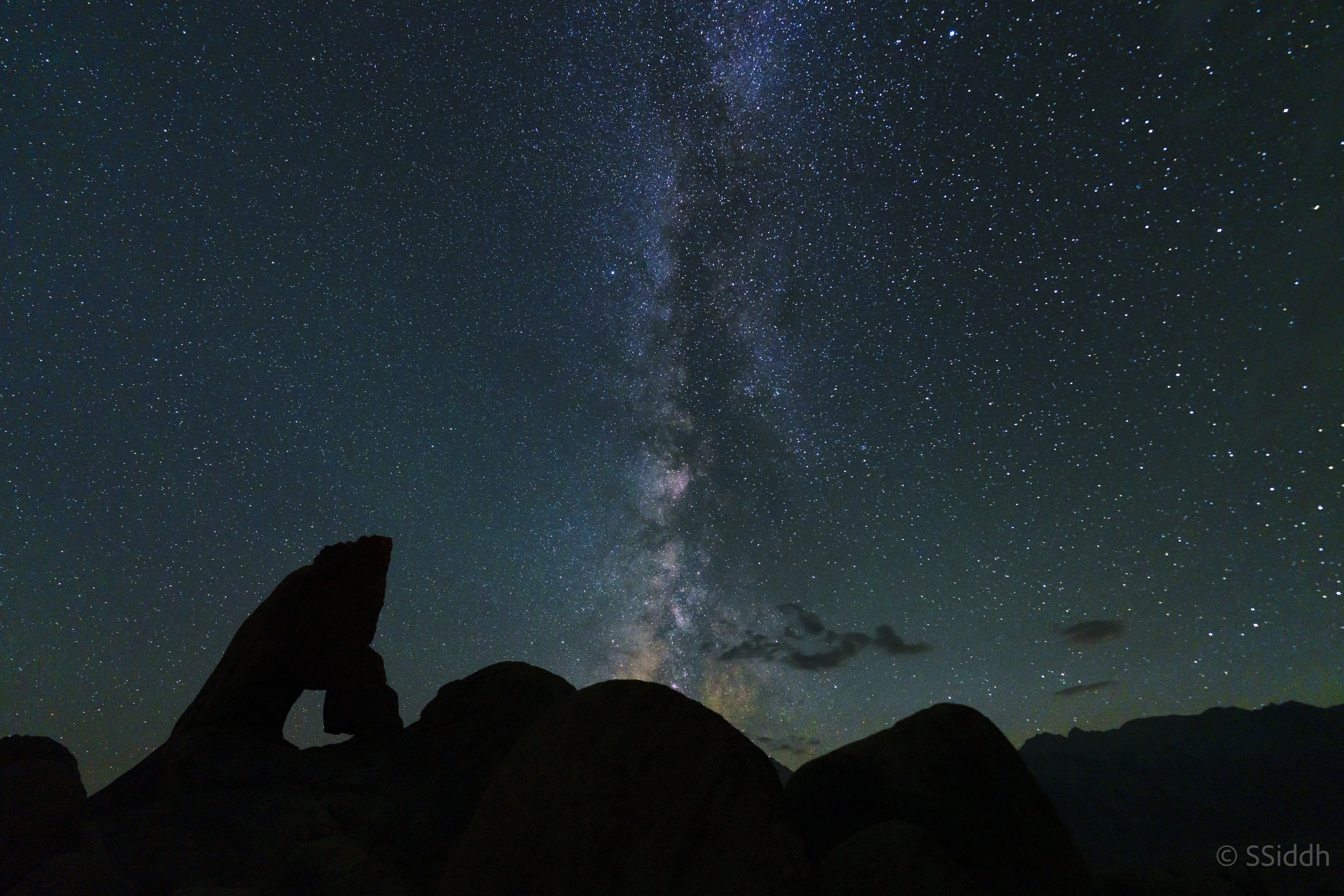 Wildlife and landscape photograph